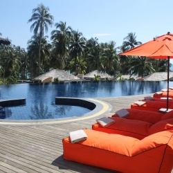 hotel-leisure-palm-trees-261169